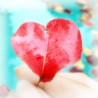 Yumaochuan happybirthdaytodearvivian.jpg