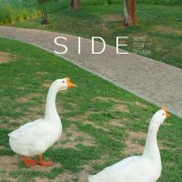 Jiuxianqiaozhisheng side.jpg