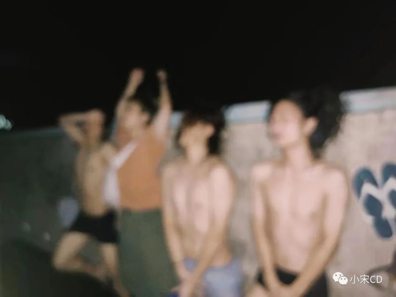 ファイル:Zhitichongtu 11.jpg