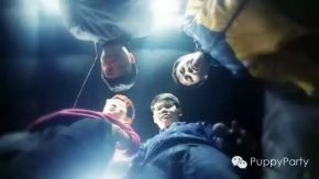 Weizhishu(hangzhoushi) 11.jpg