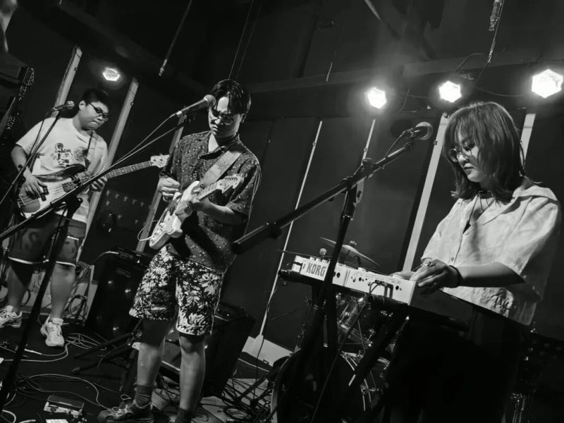 ファイル:Springlok 11.jpg