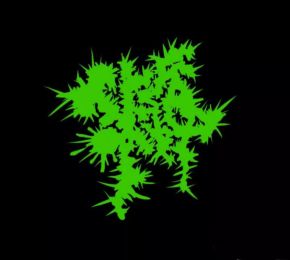 Vomitvagniaviolencenoise 11.jpg