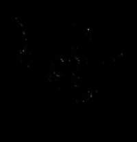 Nvezhishi nvezhishib.jpg