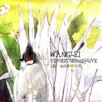 Wanglei(sichuansheng) huoshenghuiyilu net.jpg