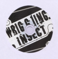 Rudongdechongzi iep1.jpg