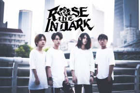 Roseinthedark 11.jpg