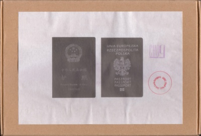 Zenlu Grzegorzbojanek June.jpg