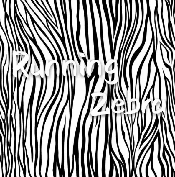 ファイル:Runningzebra 11.jpg