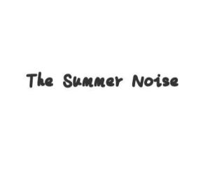 Thesummernoise 11.jpg