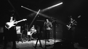 Dolphykickbebop 11.jpg