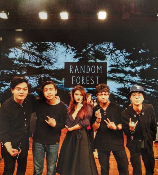 ファイル:Randomforest 11.jpg