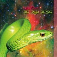 Vagusnerve toohightodie.jpg