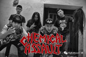 Chemicalassault 11.jpg