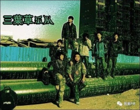 Sanyecao(baotoushi) 13.jpg