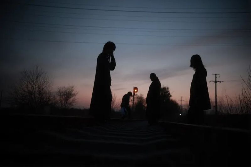 ファイル:Banzidongshengmingti 11.jpg