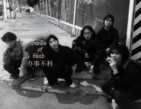 Bandsofbleed 11.jpg