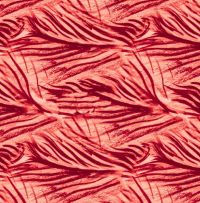 Yuexiachenxing xingxingshanshuozhijian.jpg