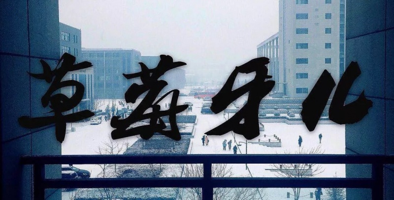 ファイル:Caomeiyaer 11.jpg