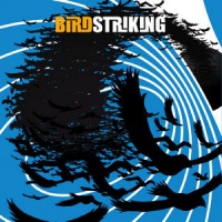 Birdstriking ia1.jpg