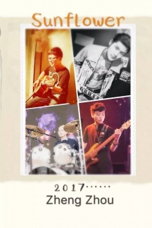 Sunflower(zhengzhoushi) 11.jpg